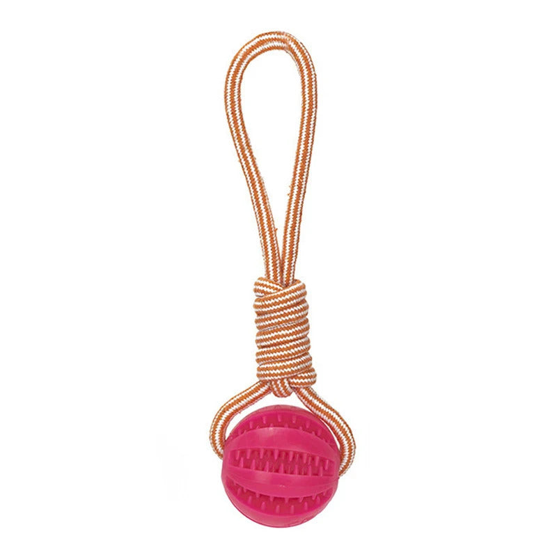Ball Toy for Dogs