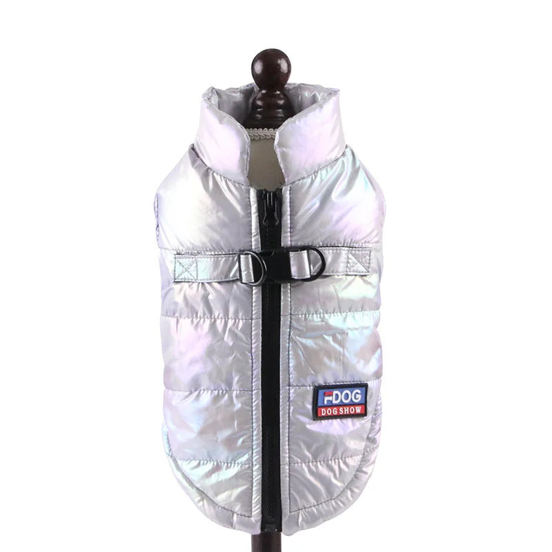Winter Clothes for Dogs