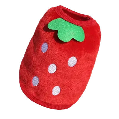 Clothes for Dogs & Cats
