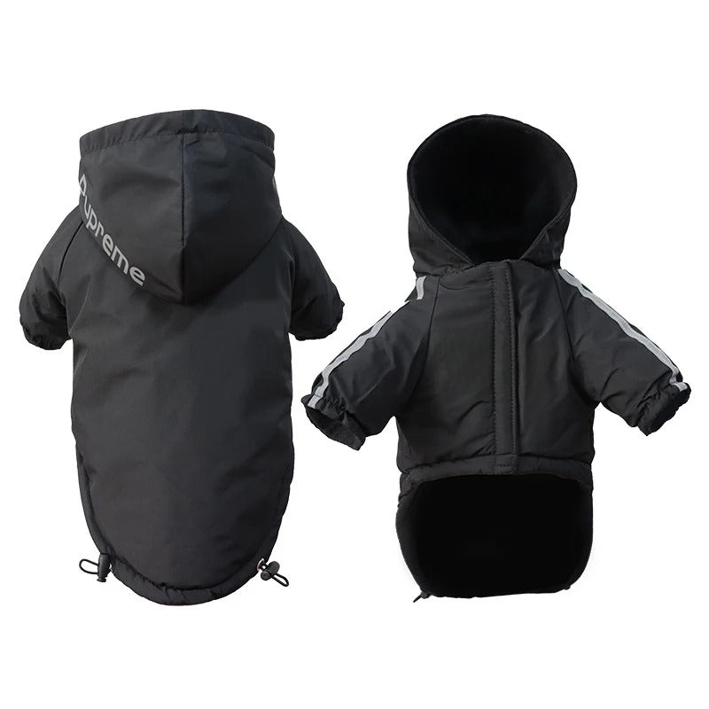 Hooded jacket for small dogs