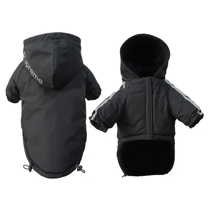 Hooded jacket for small dogs