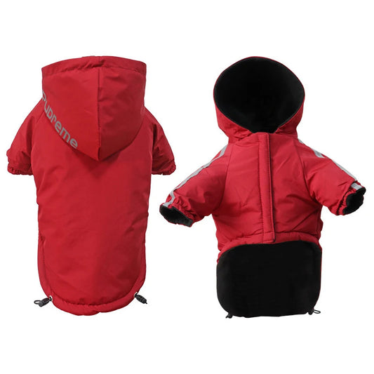 Hooded jacket for small dogs