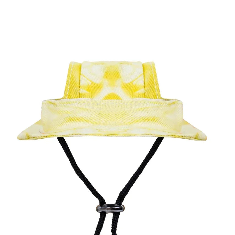 Hat for Dogs & Cats