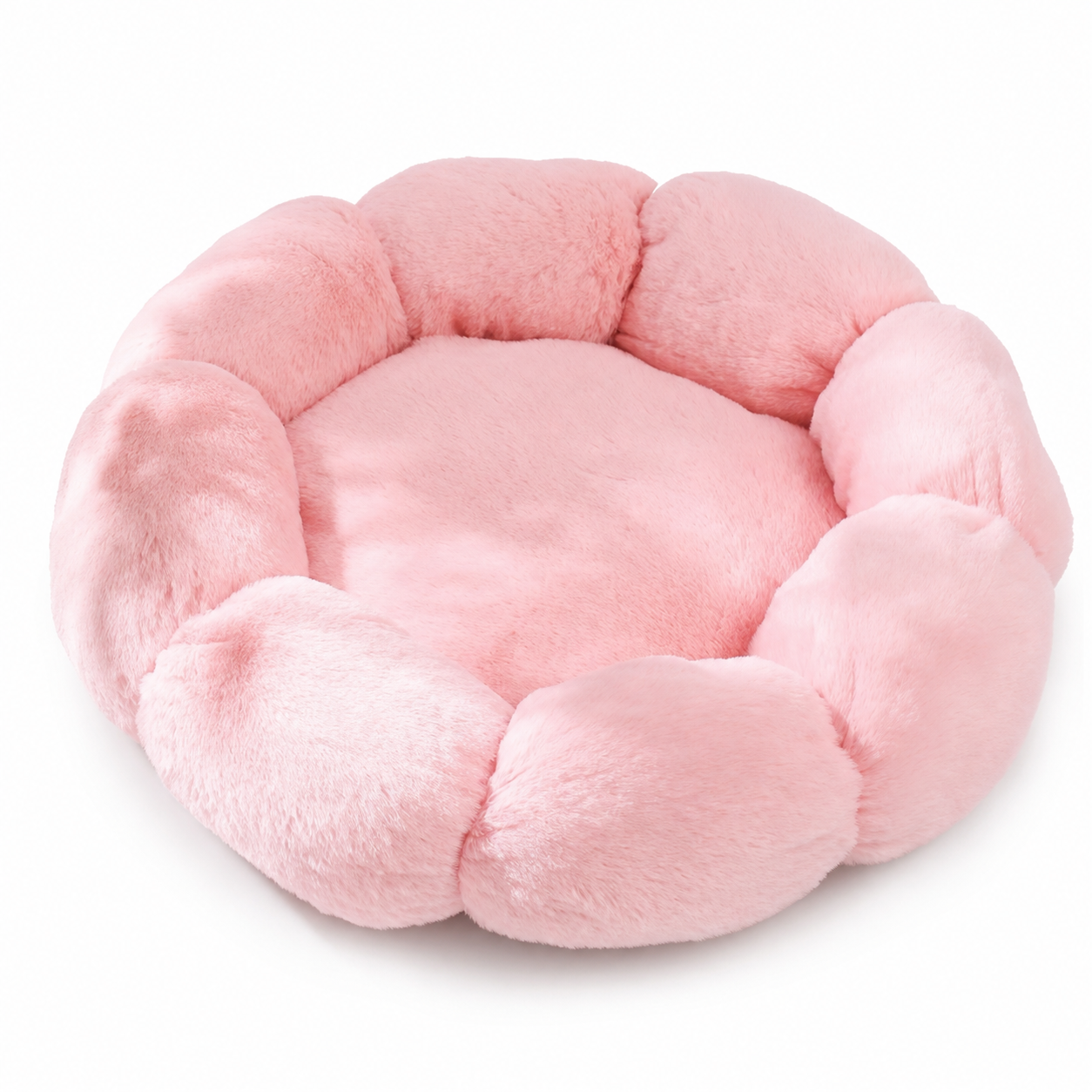 Cat & Dog Bed