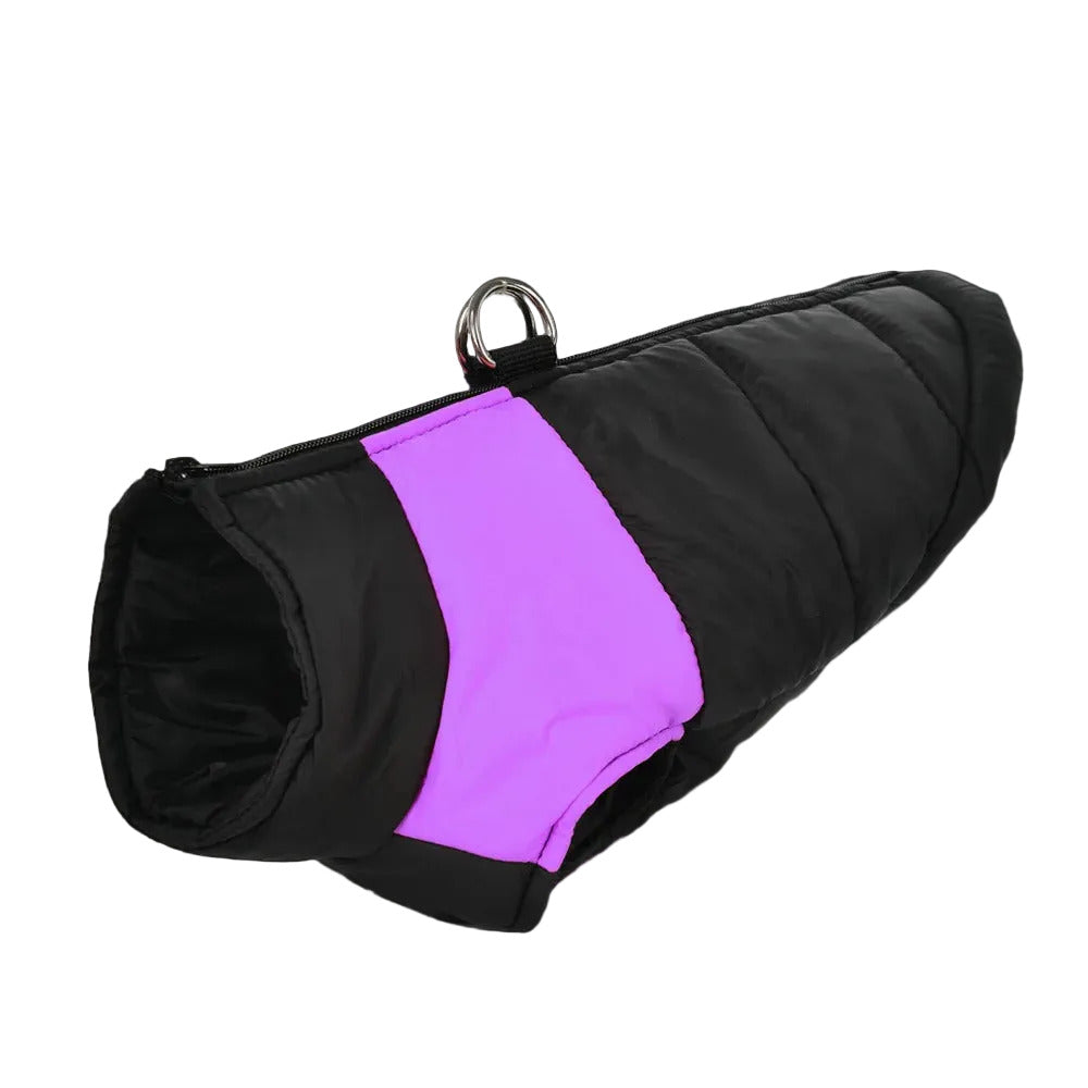 Dogs waterproof jacket