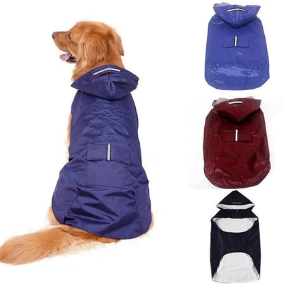Raincoat for Dogs