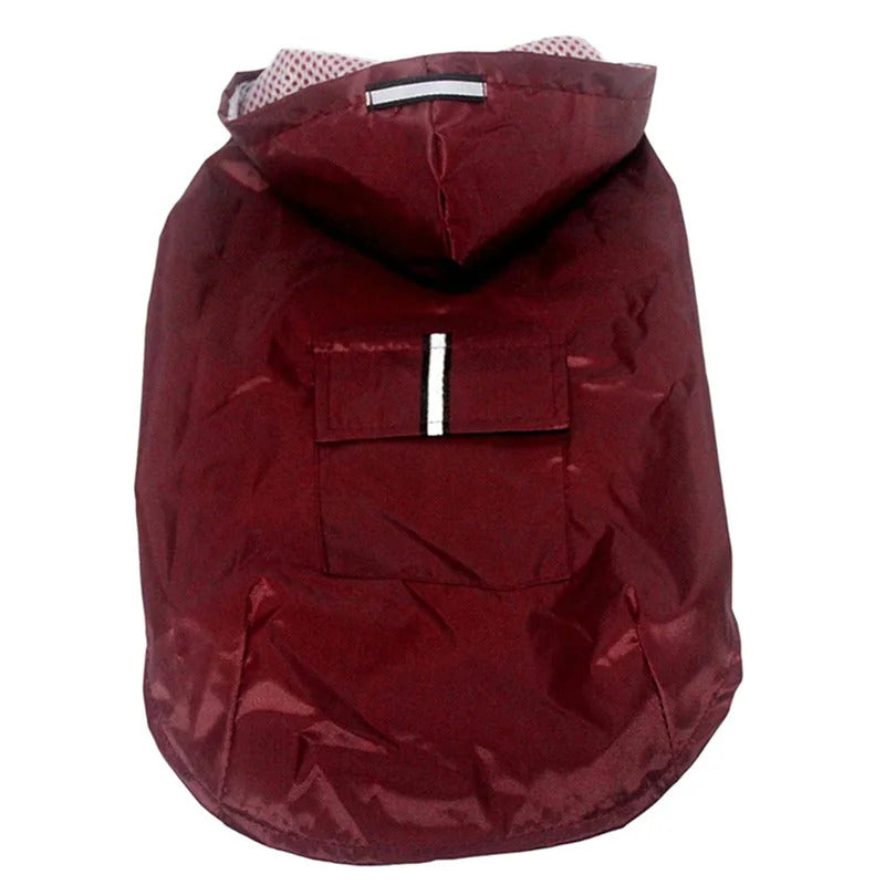 Raincoat for Dogs