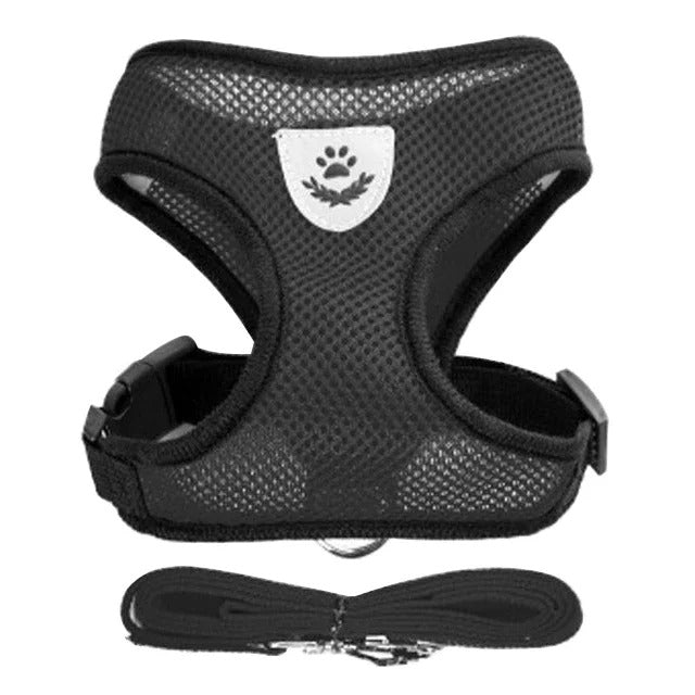 Harness and leash for Cats