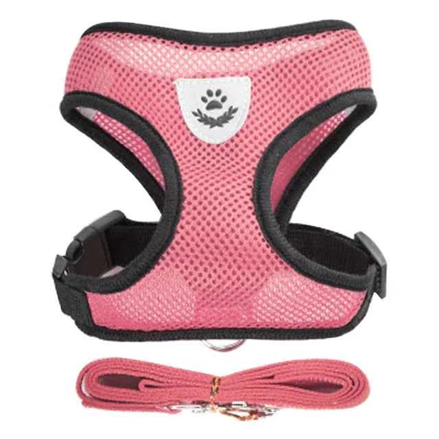Harness and leash for Cats