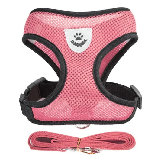 Harness and leash for Cats