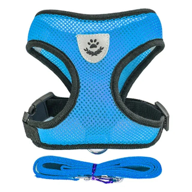Harness and leash for Cats