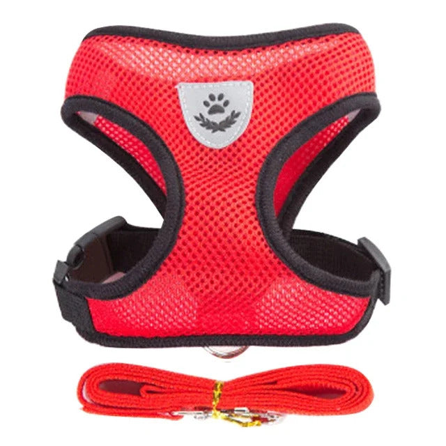 Harness and leash for Cats