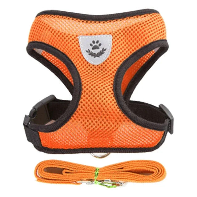 Harness and leash for Cats