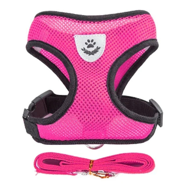 Harness and leash for Cats