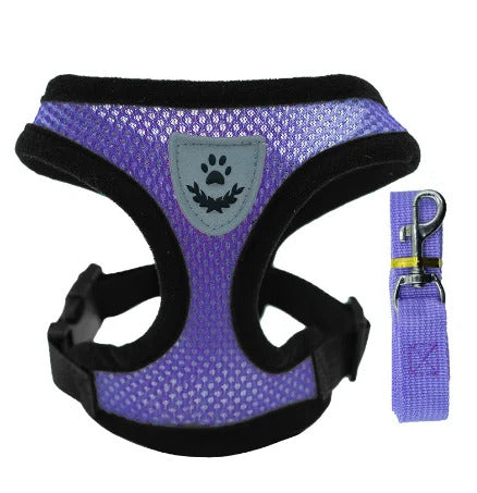 Harness and leash for Cats