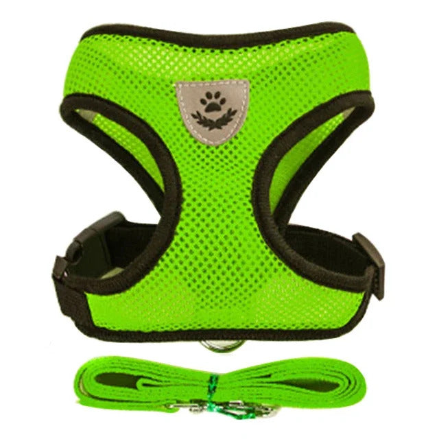 Harness and leash for Cats